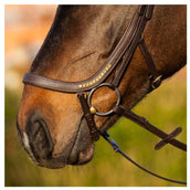 Harry's Horse Zaum Anatomic Gold Braun