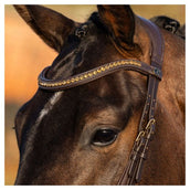 Harry's Horse Zaum Anatomic Gold Braun