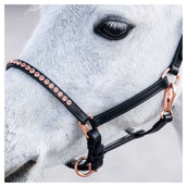 Harry's Horse Halfter Crystal Pony/Fohlen Schwarz/Roségold