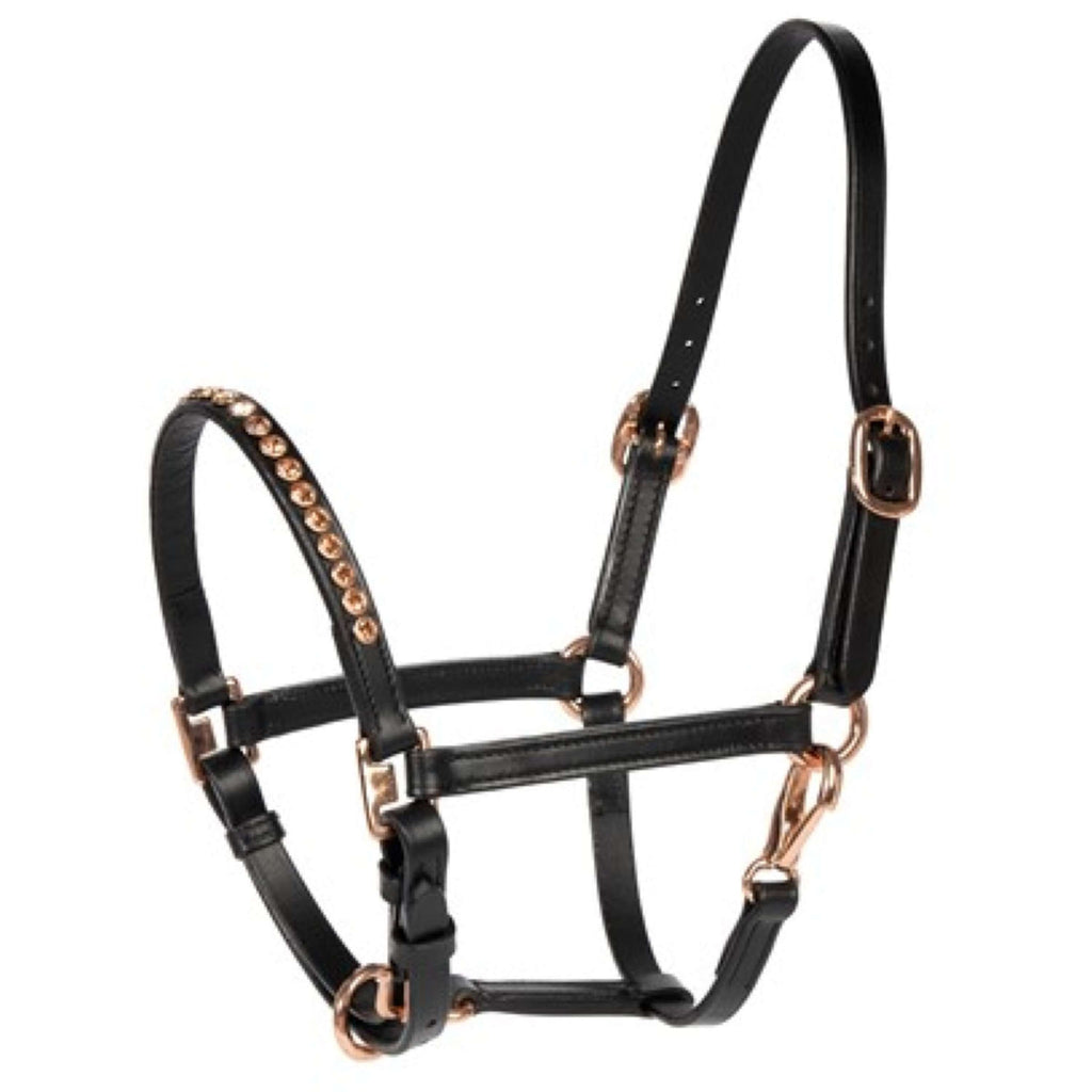 Harry's Horse Halfter Crystal Schwarz/Roségold