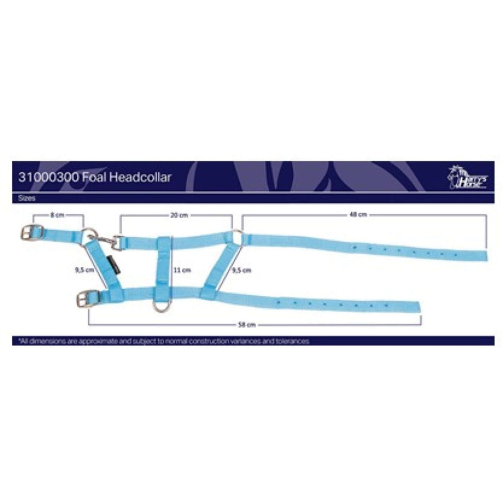 Harry's Horse Fohlenhalfter Navy