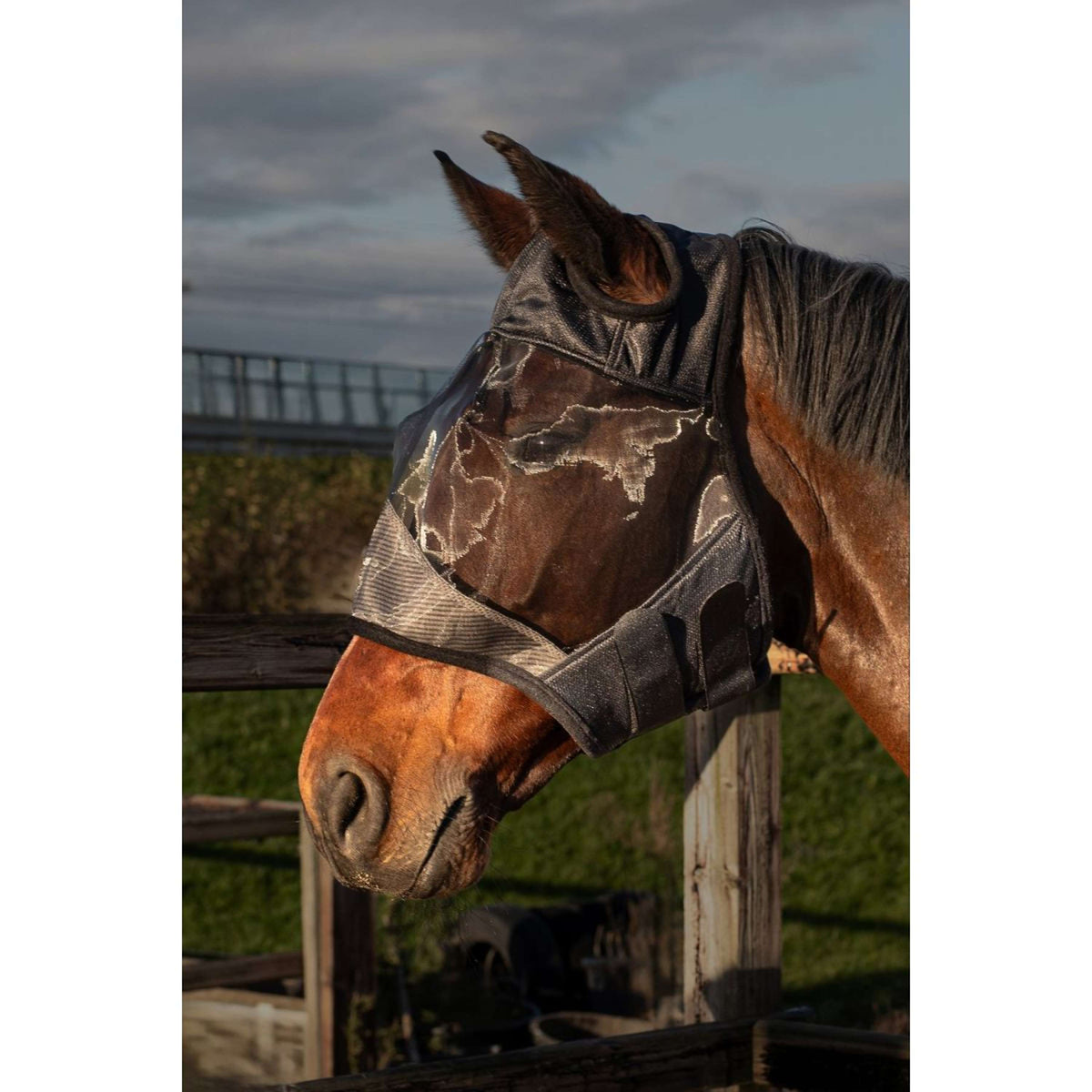 Harry's Horse Fliegenmaske Flyshield Ohne Ohren