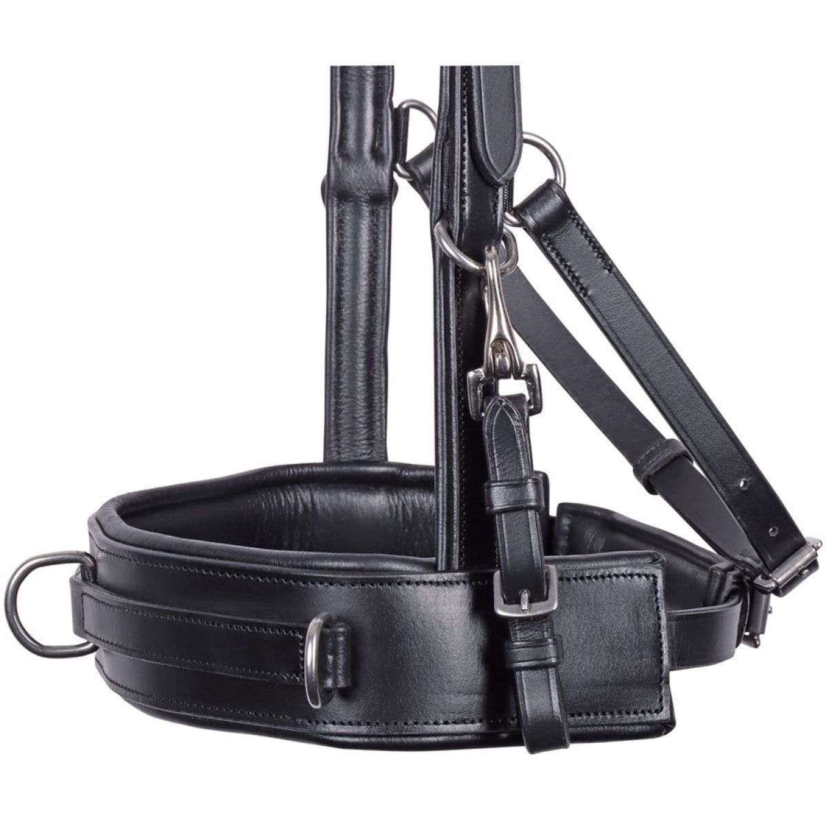 Harry's Horse Kapzaum Comfort Leder Schwarz