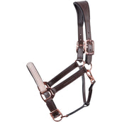 Harry's Horse Halfter Broadway Leder Braun