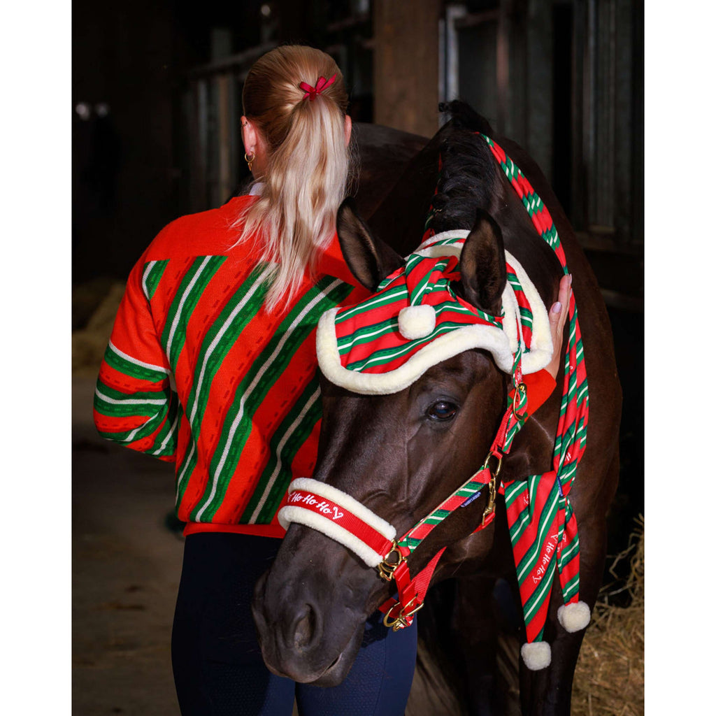Harry's Horse Pullover Christmas '26 Rot