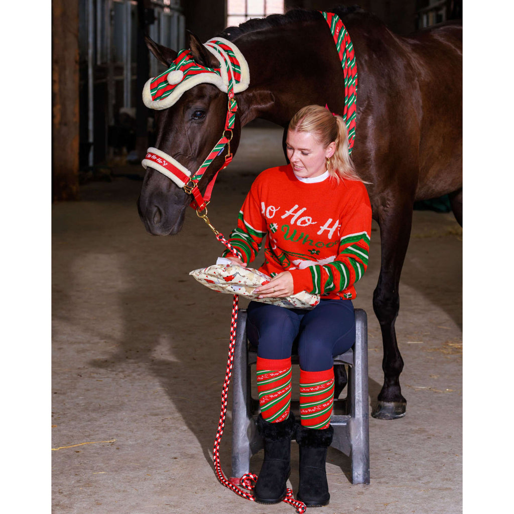 Harry's Horse Pullover Christmas '26 Rot