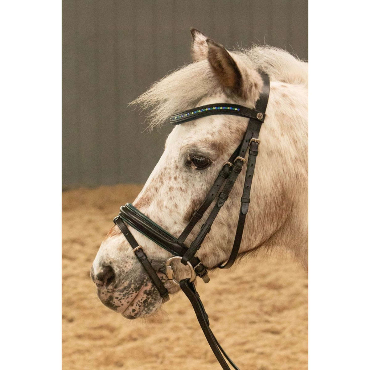 Harry's Horse Zaum STOUT! Lime Schwarz