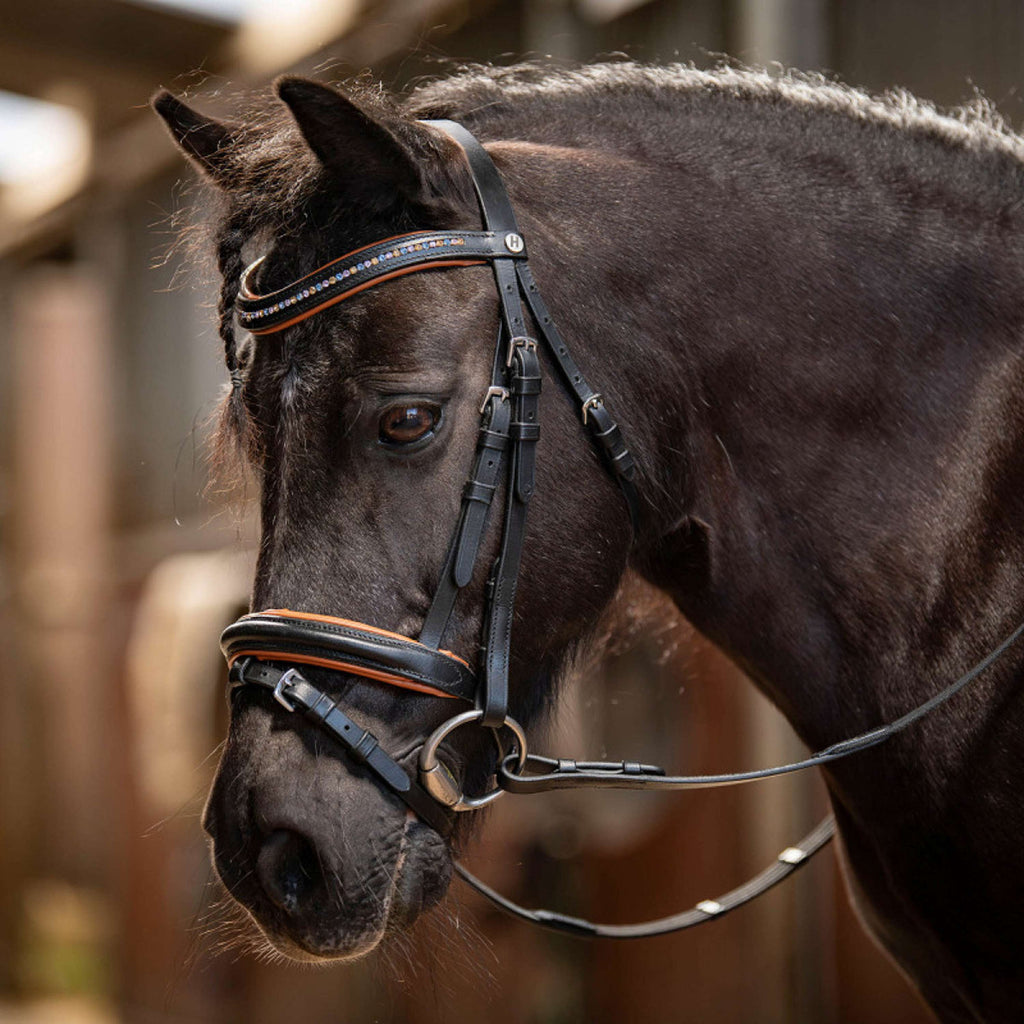 Harry's Horse Trensenzaum STOUT! Maverick Schwarz