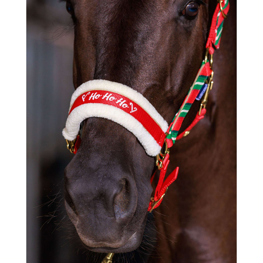 Harry's Horse Halfterset und Ohrenhaube Christmas '26 Rot
