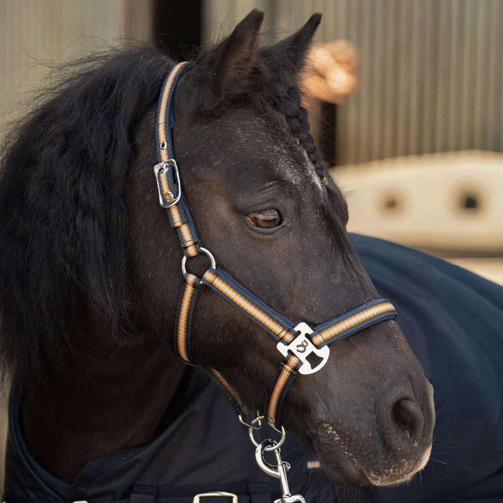 Harry's Horse Halfterset STOUT! Maverick Total Eclipse