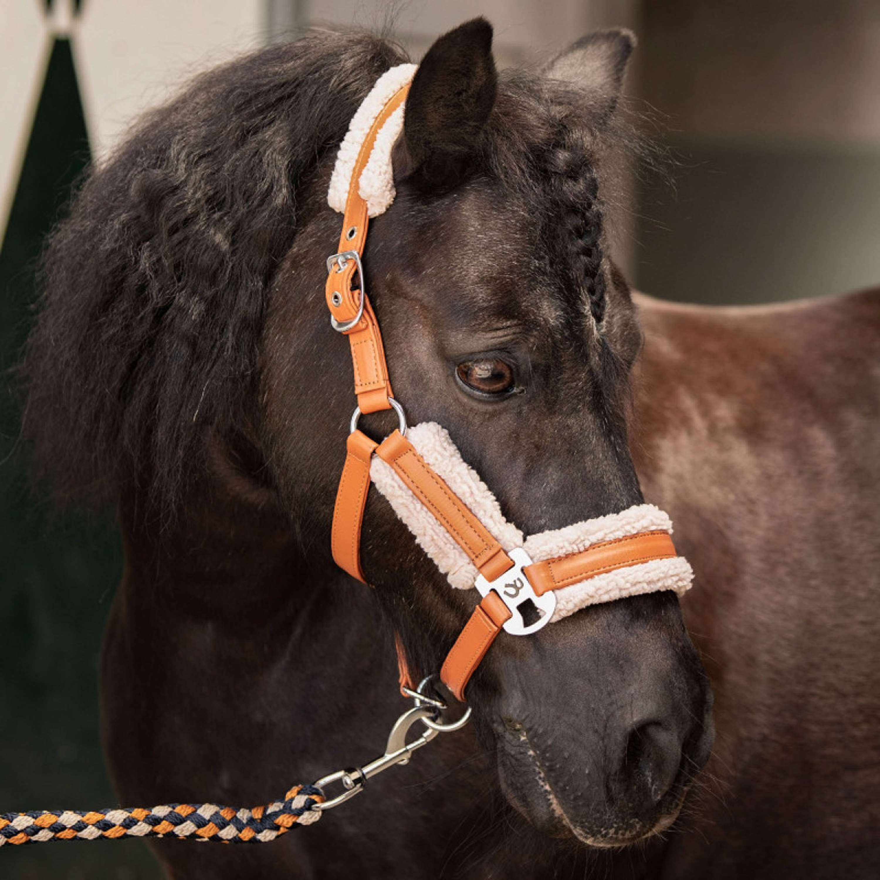 Harry's Horse Halfterset STOUT! Maverick Bran