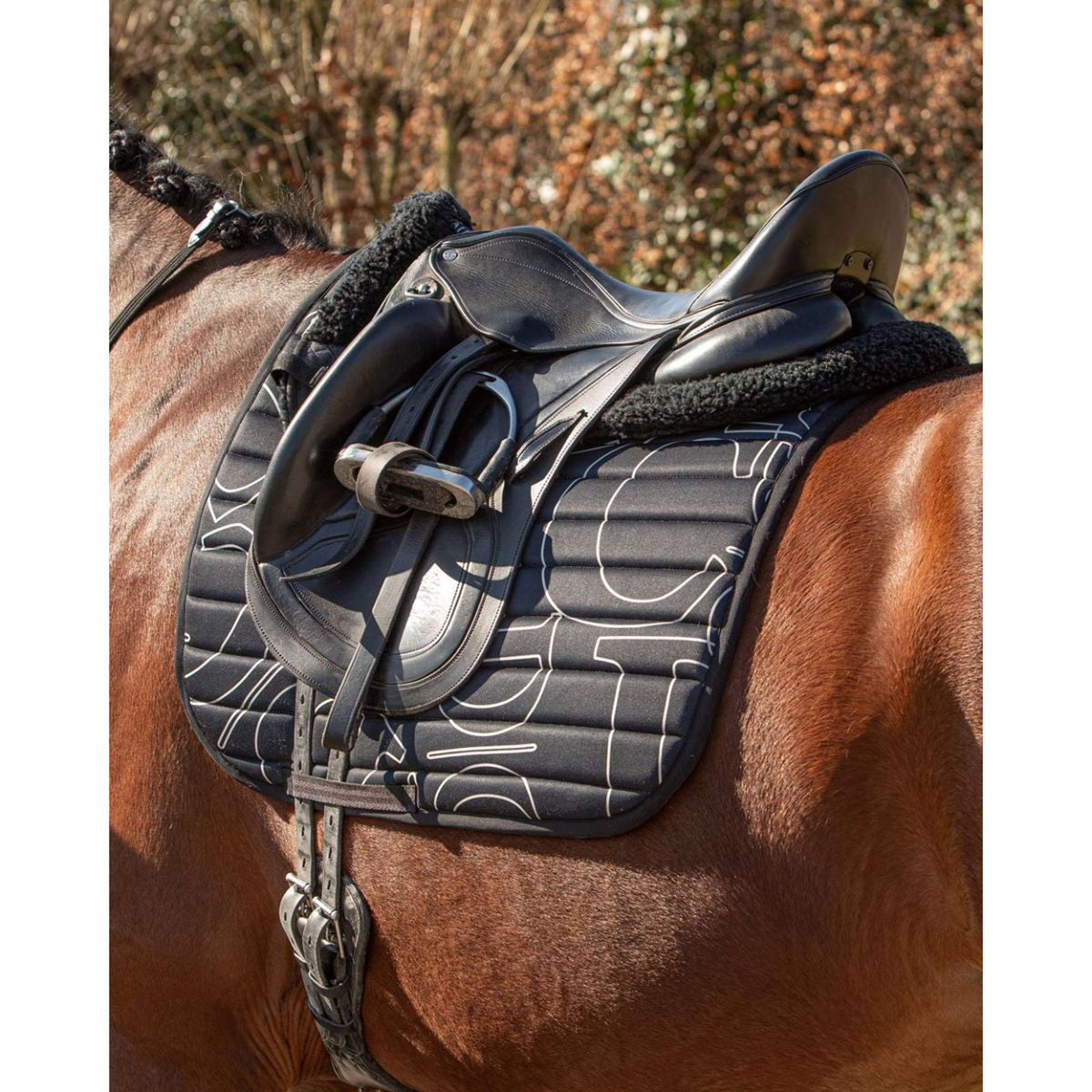 Harry's Horse Schabracke Denici Cavalli Stardust Design Dressur Schwarz