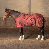 Harry's Horse Regendecke Thor WI25 Fleece 0gr Spiced Apple