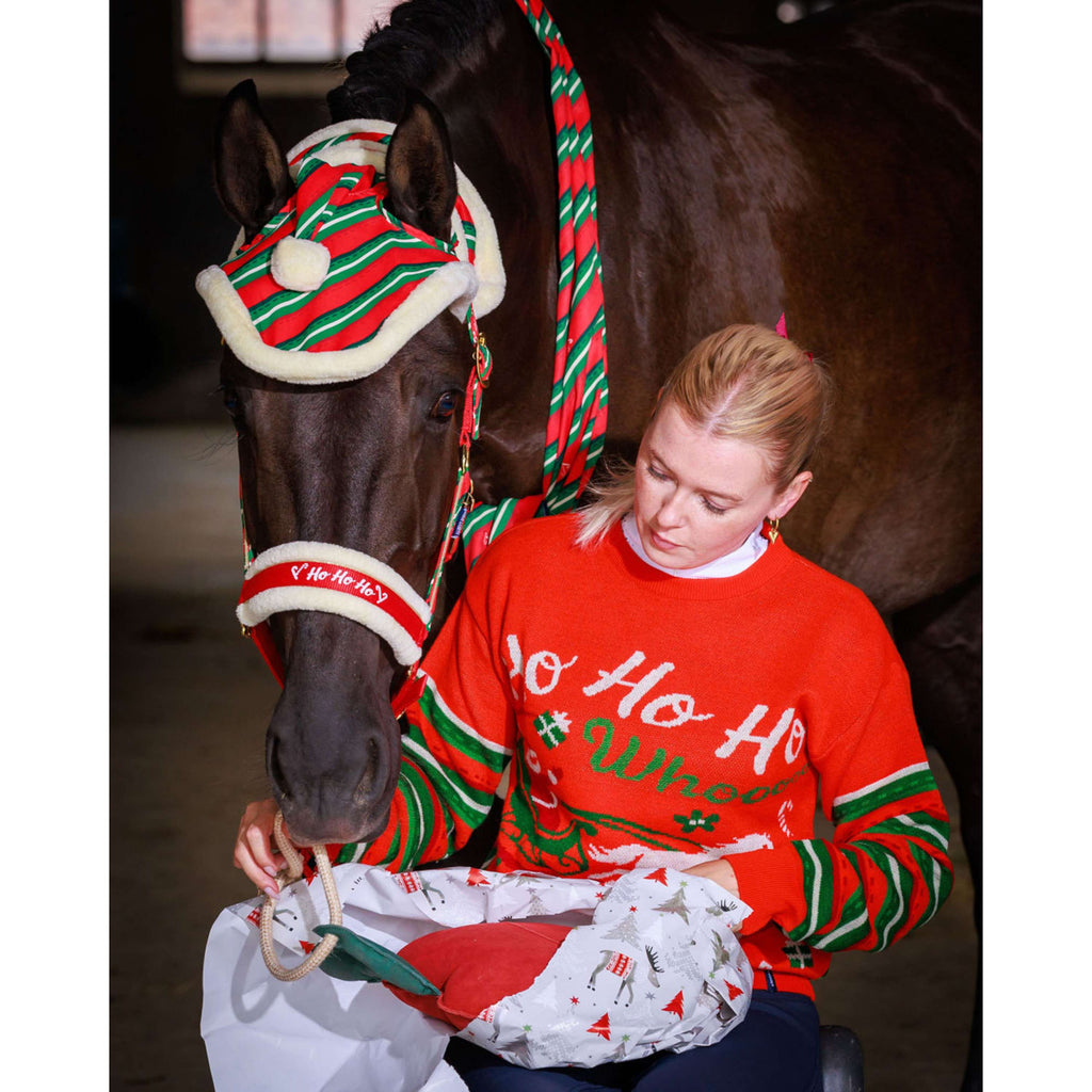 Harry's Horse Schal Christmas '26 Rot