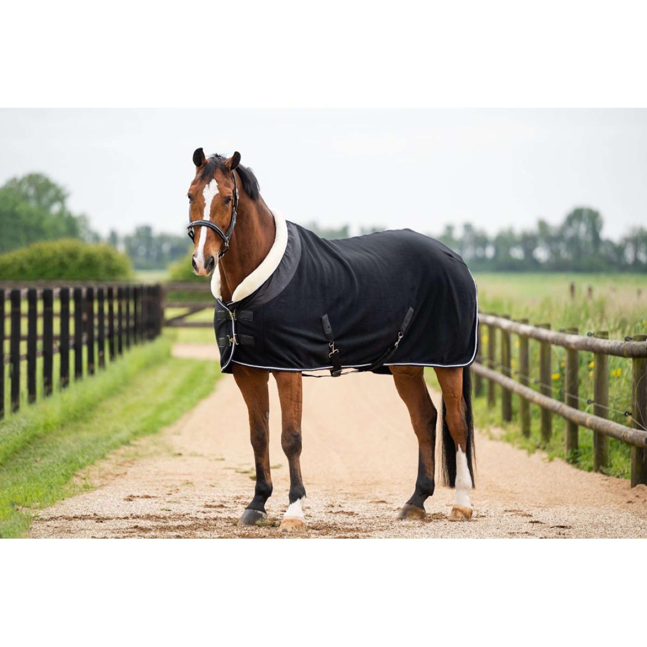 HB Showtime Showdecke Crown Schwarz HB Showtime Showdecke Crown Schwarz