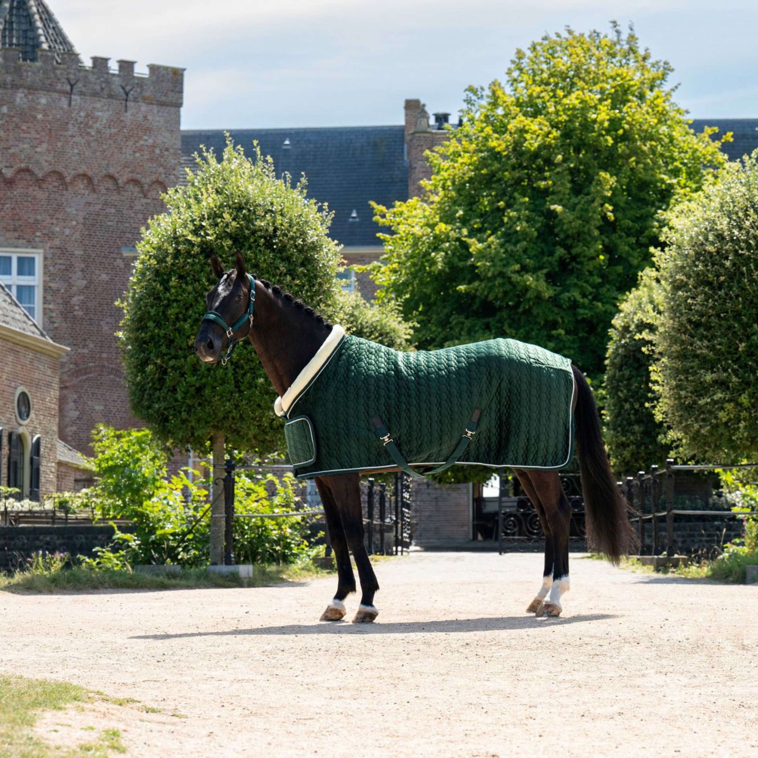 HB Ruitersport Showdecke Special Peach Forest Green HB Ruitersport Showdecke Special Peach Forest Green