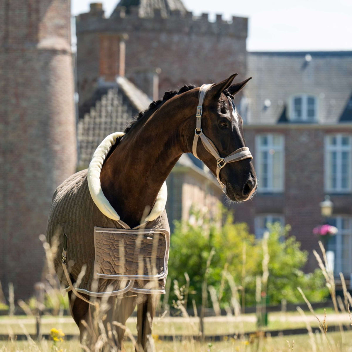 HB Ruitersport Showdecke Special Peach Taupe
