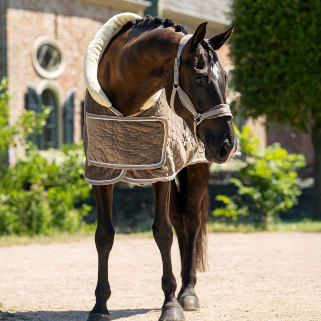 HB Ruitersport Showdecke Special Peach Taupe