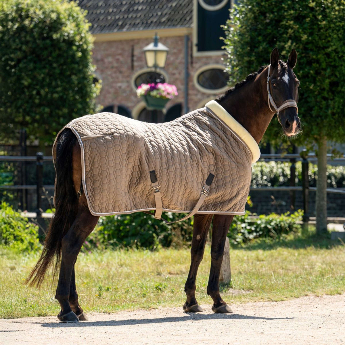 HB Ruitersport Showdecke Special Peach Taupe