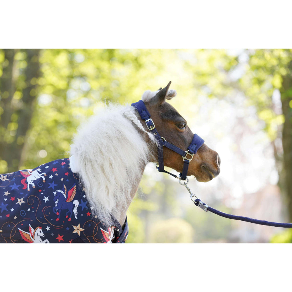 HB Outdoordecke Little Sizes navy flying horse