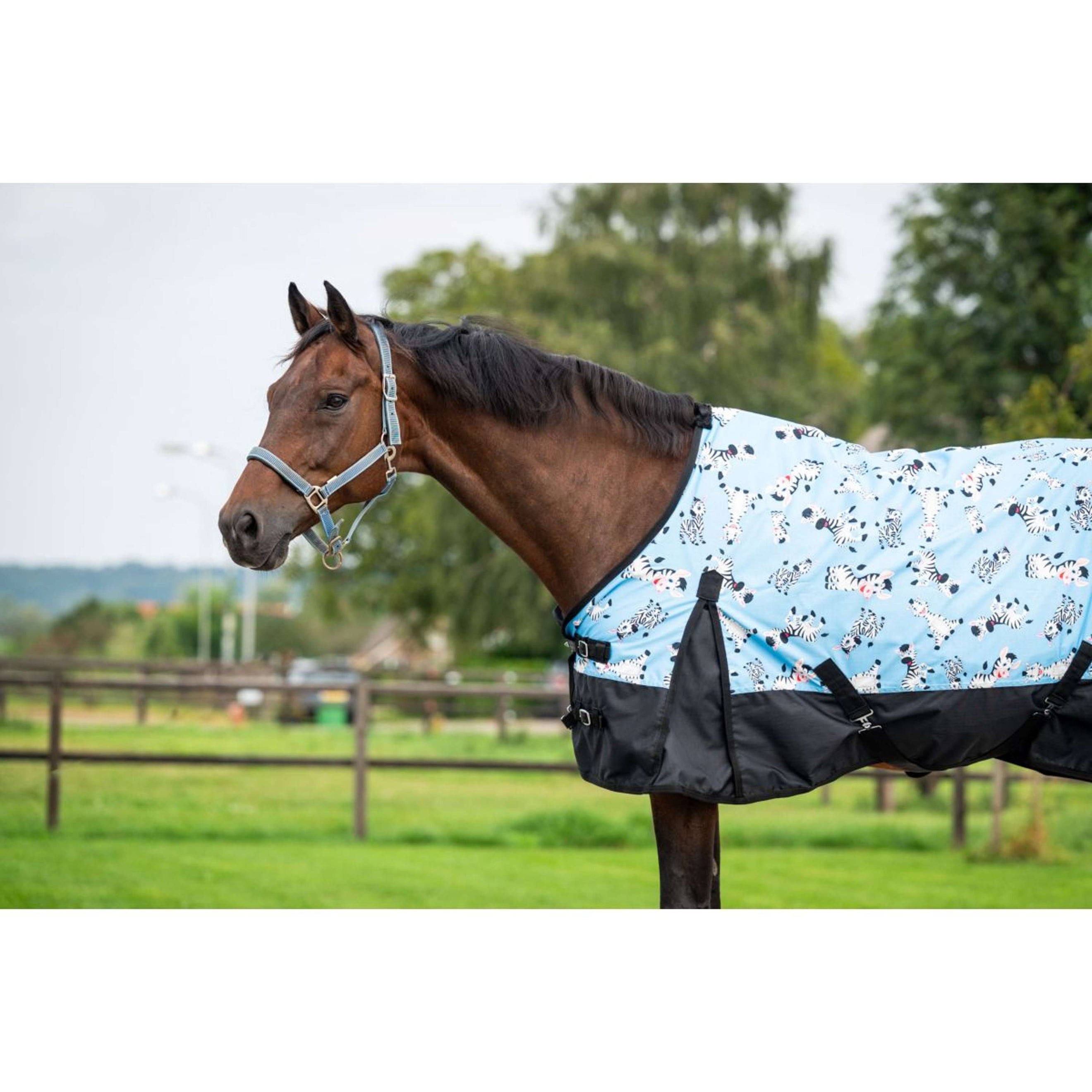 HB Outdoordecke Mr Squeez 200g Hellblau