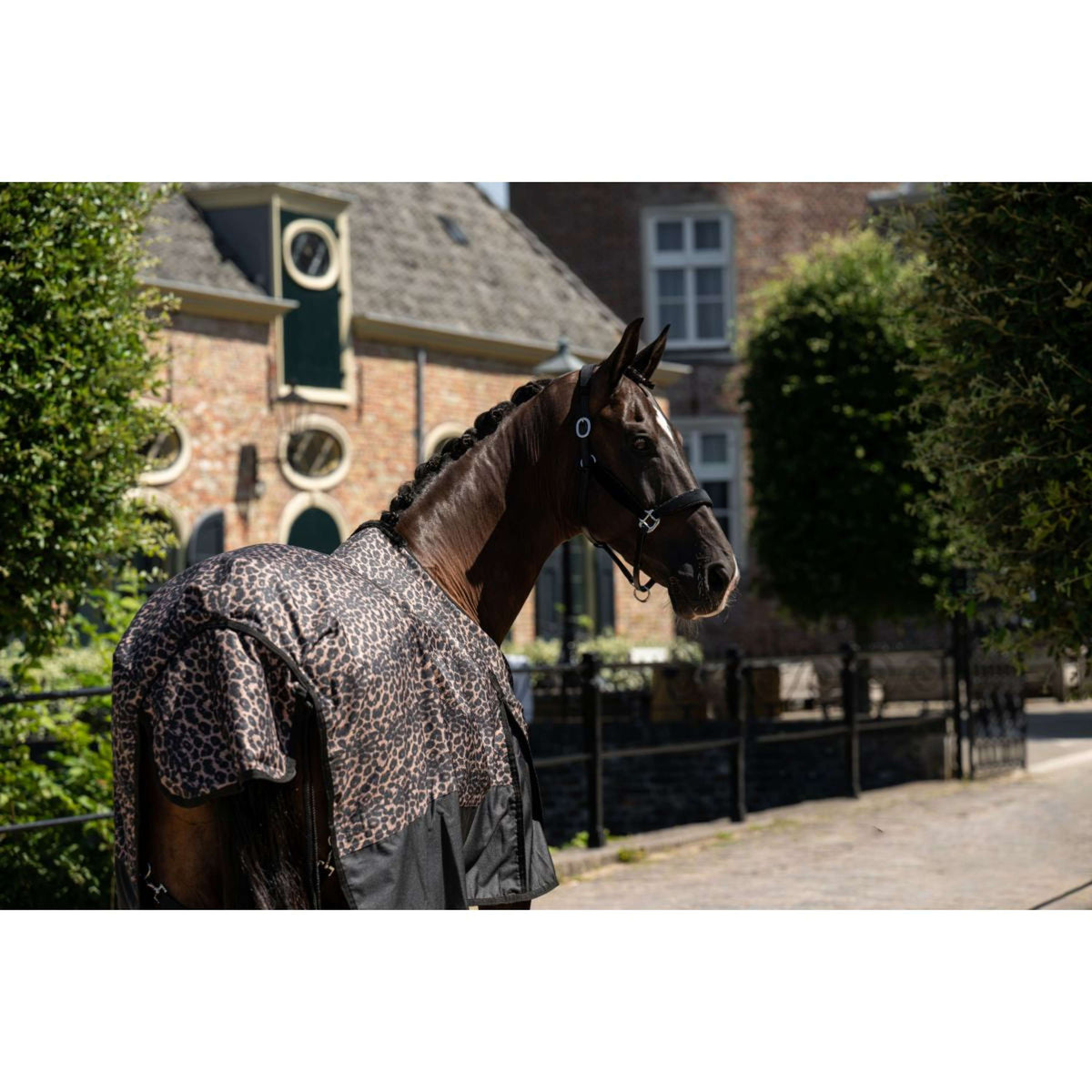 HB Outdoordecke Leopard 0g Leopard