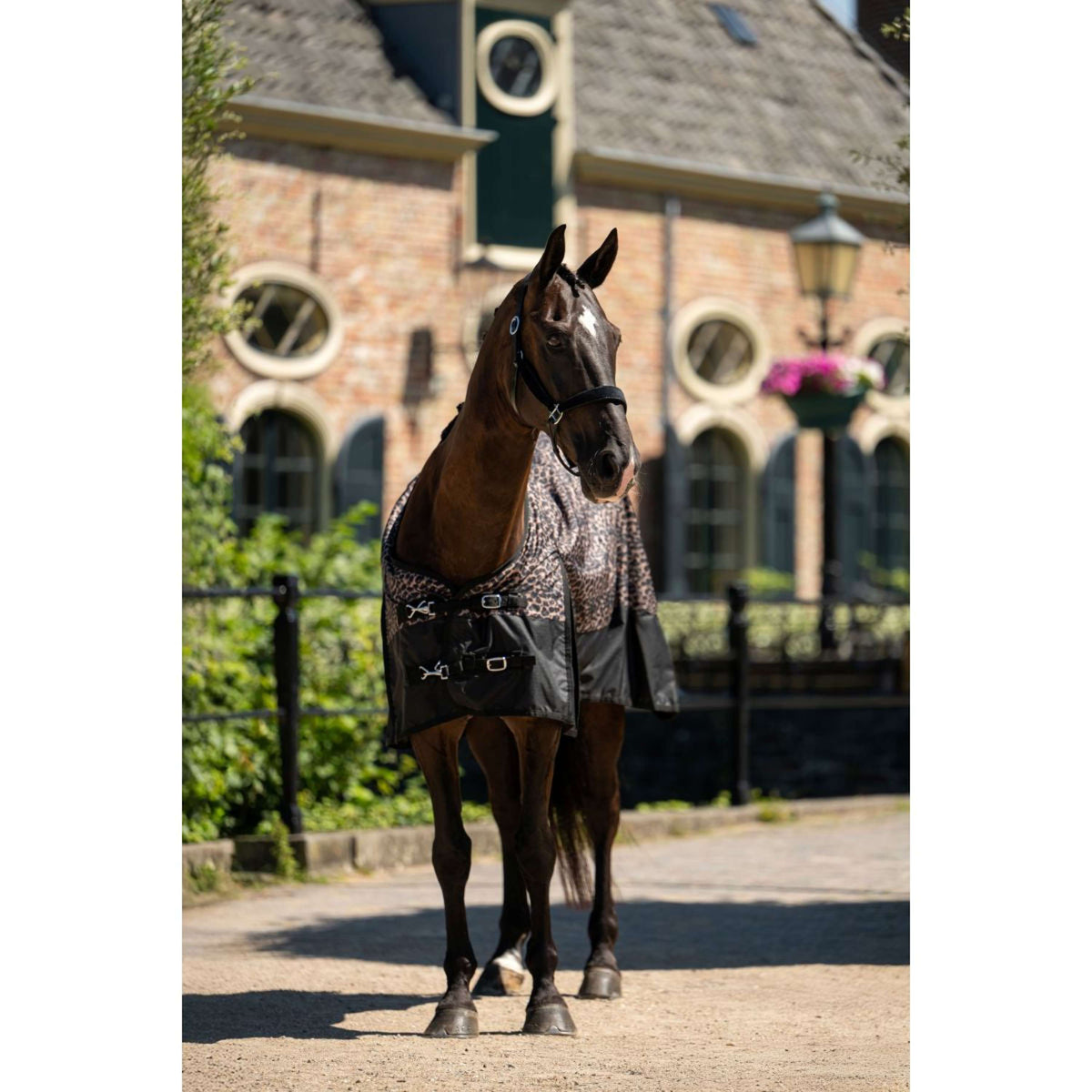 HB Outdoordecke Leopard 0g Leopard