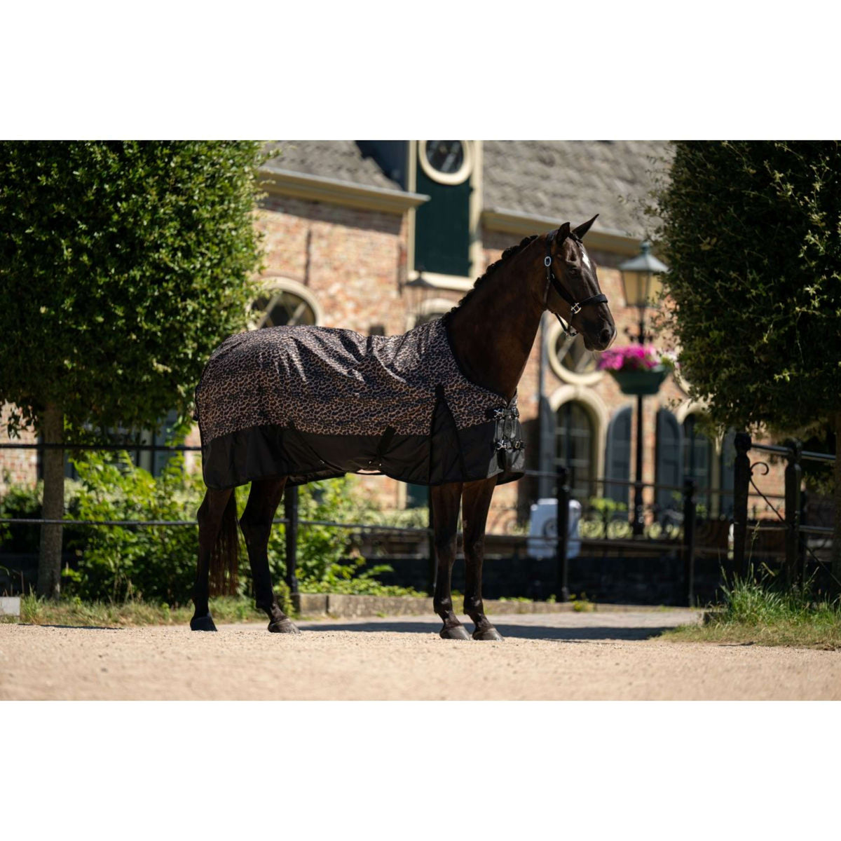 HB Outdoordecke Leopard 0g Leopard