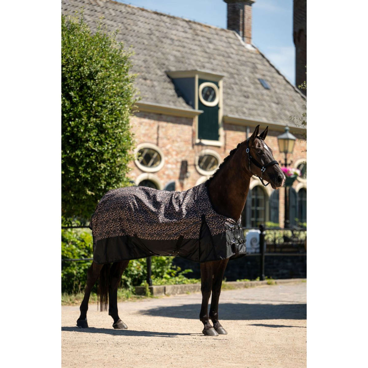 HB Outdoordecke Leopard 0g Leopard