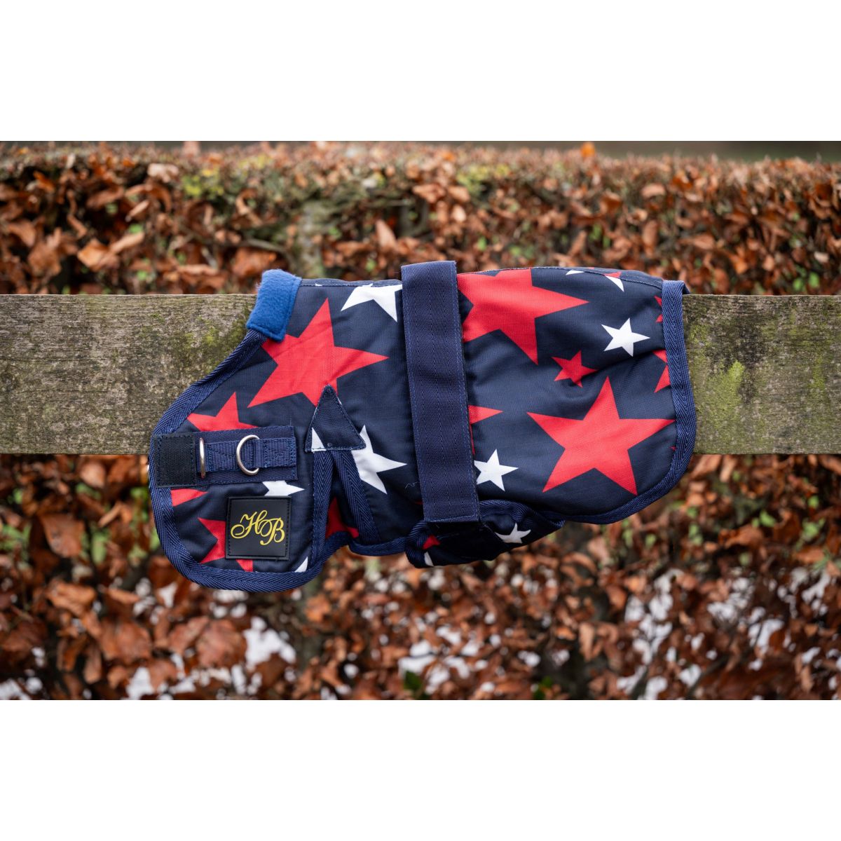 HB Fohlendecke Ukki Navy/Stars