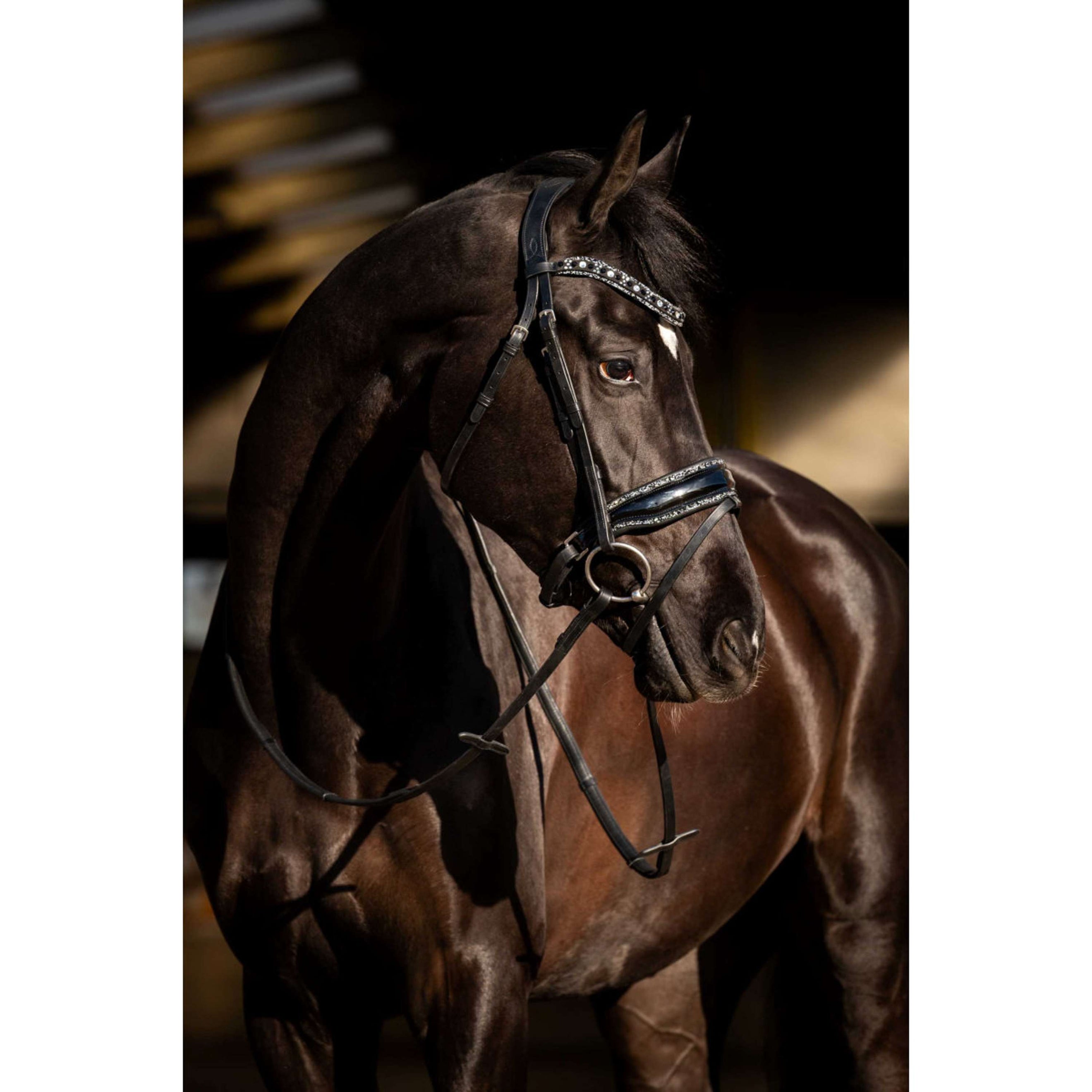 HB Zaum Black River Schwarz HB Zaum Black River Schwarz