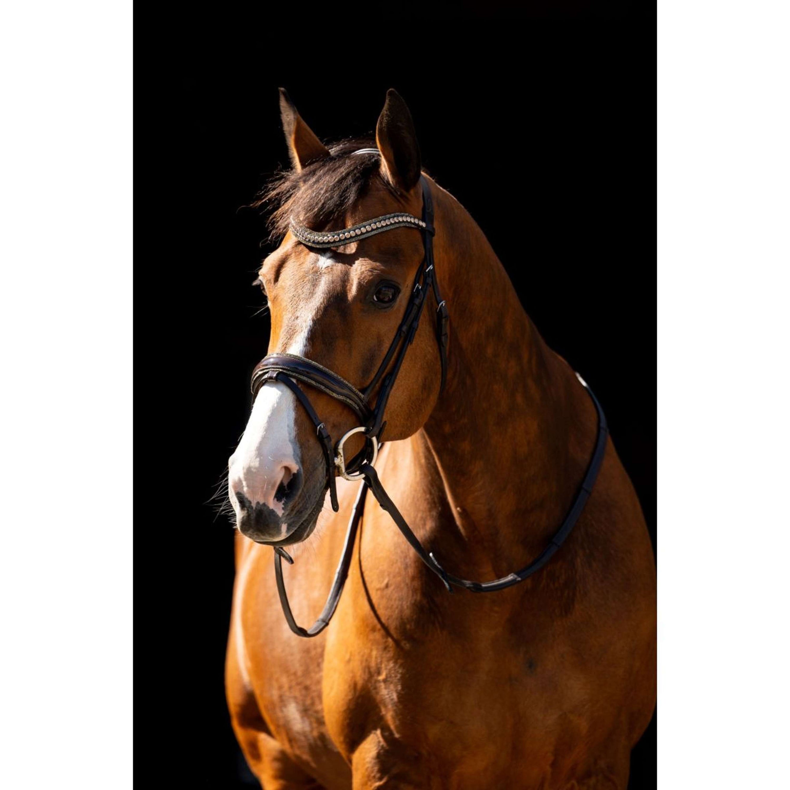 HB Zaum Jump Rocky Glitzer Braun HB Zaum Jump Rocky Glitzer Braun