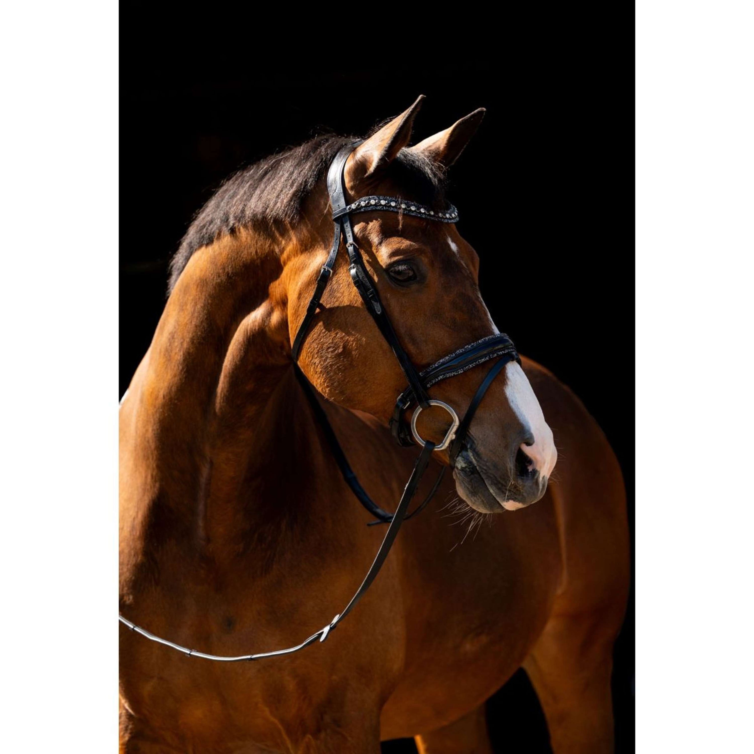 HB Zaum Jump Rocky Glitzer/Schwarz HB Zaum Jump Rocky Glitzer/Schwarz