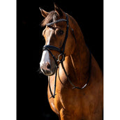 HB Zaum Jump Rocky Glitzer/Schwarz