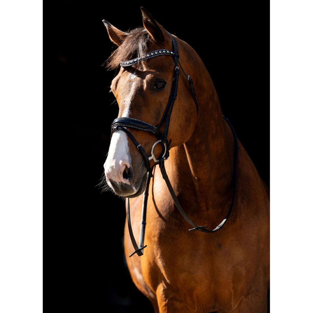 HB Zaum Jump Rocky Glitzer/Schwarz