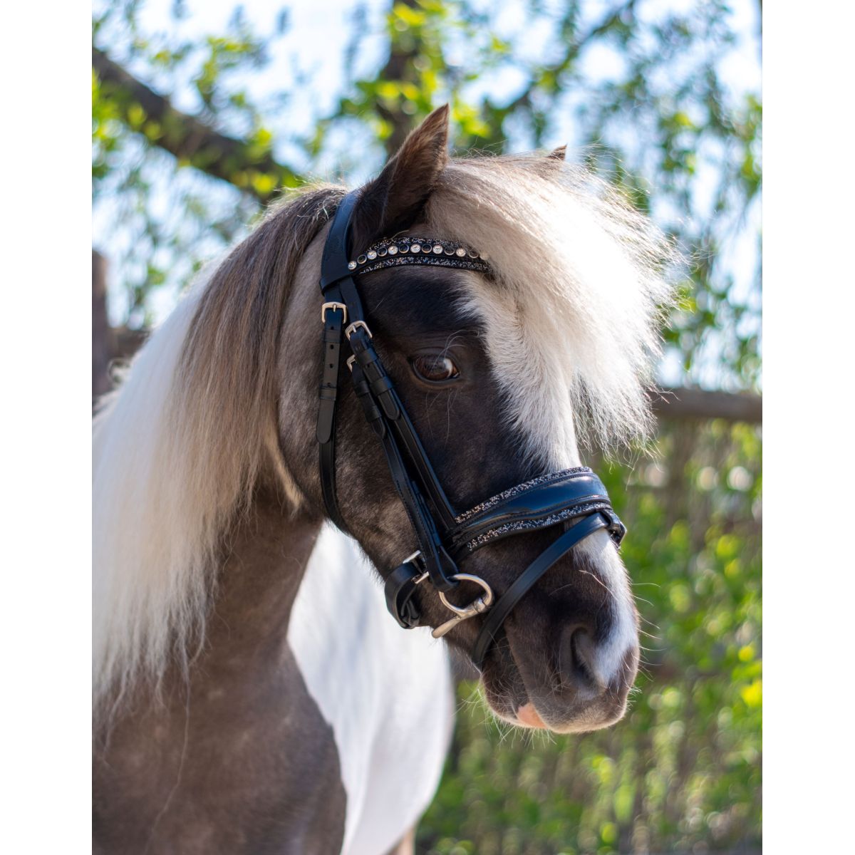 HB Zaum Rocky Glitzer/Schwarz