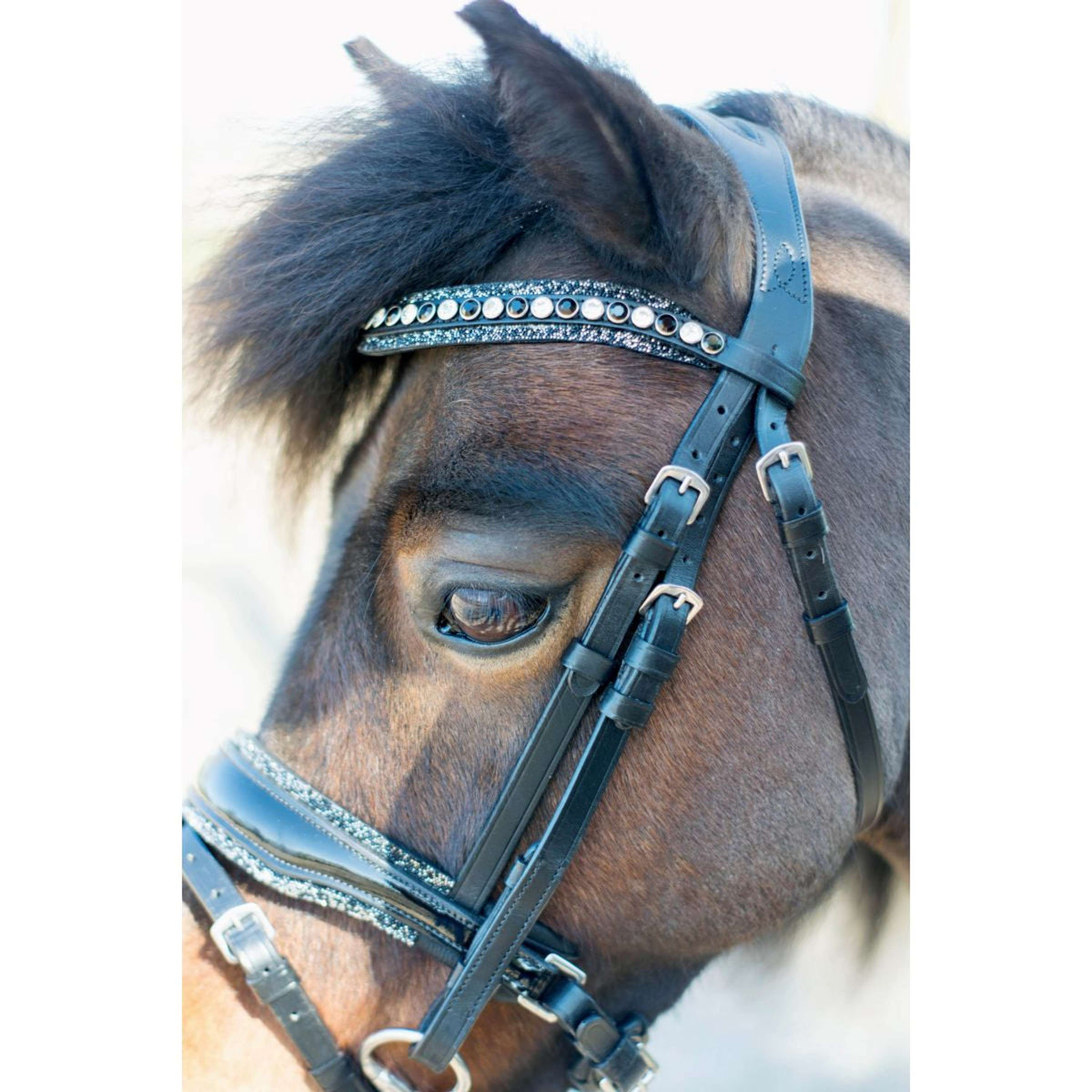 HB Zaum Rocky Glitzer/Schwarz