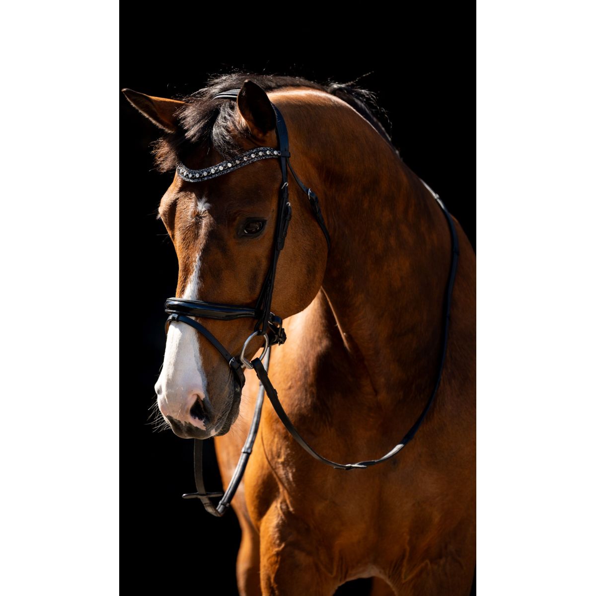 HB Zaum Jump Schwarz