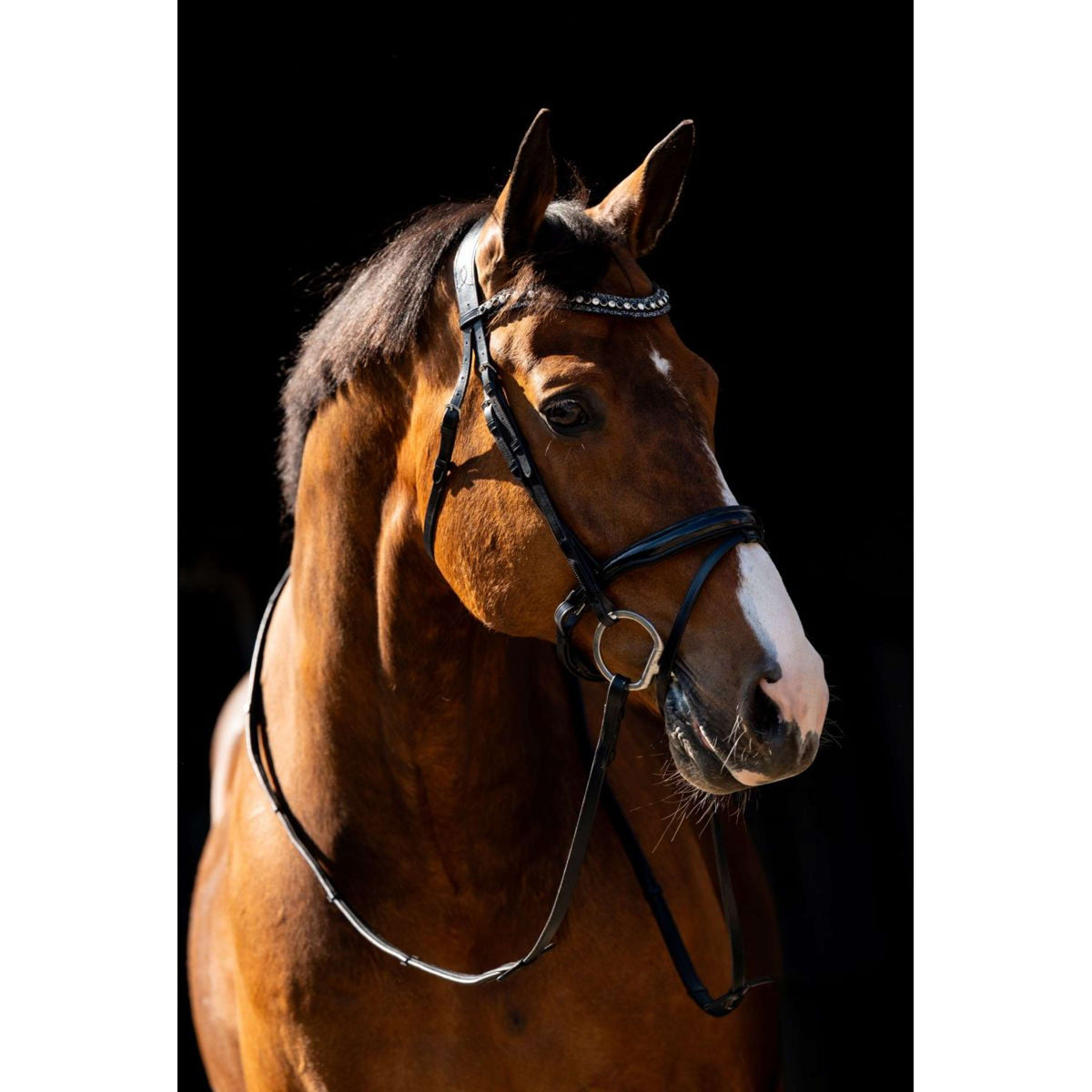 HB Zaum Jump Schwarz