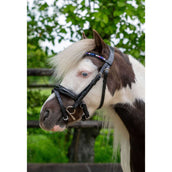 HB Ruitersport Zaum Showtime Petit Royal Schwarz