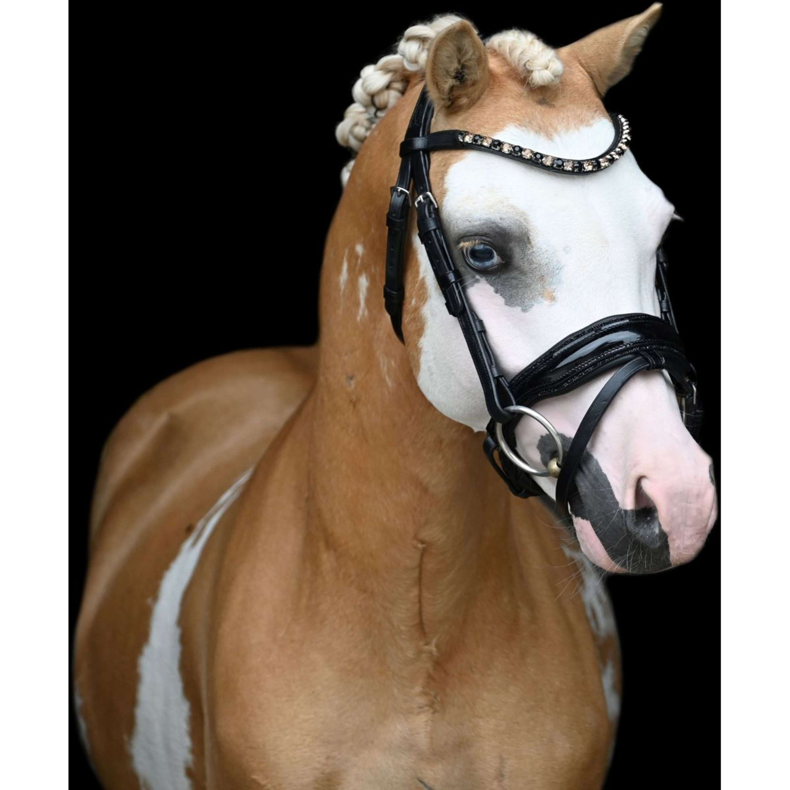 HB Showtime Zaum Special Schwarz/Gold HB Showtime Zaum Special Schwarz/Gold