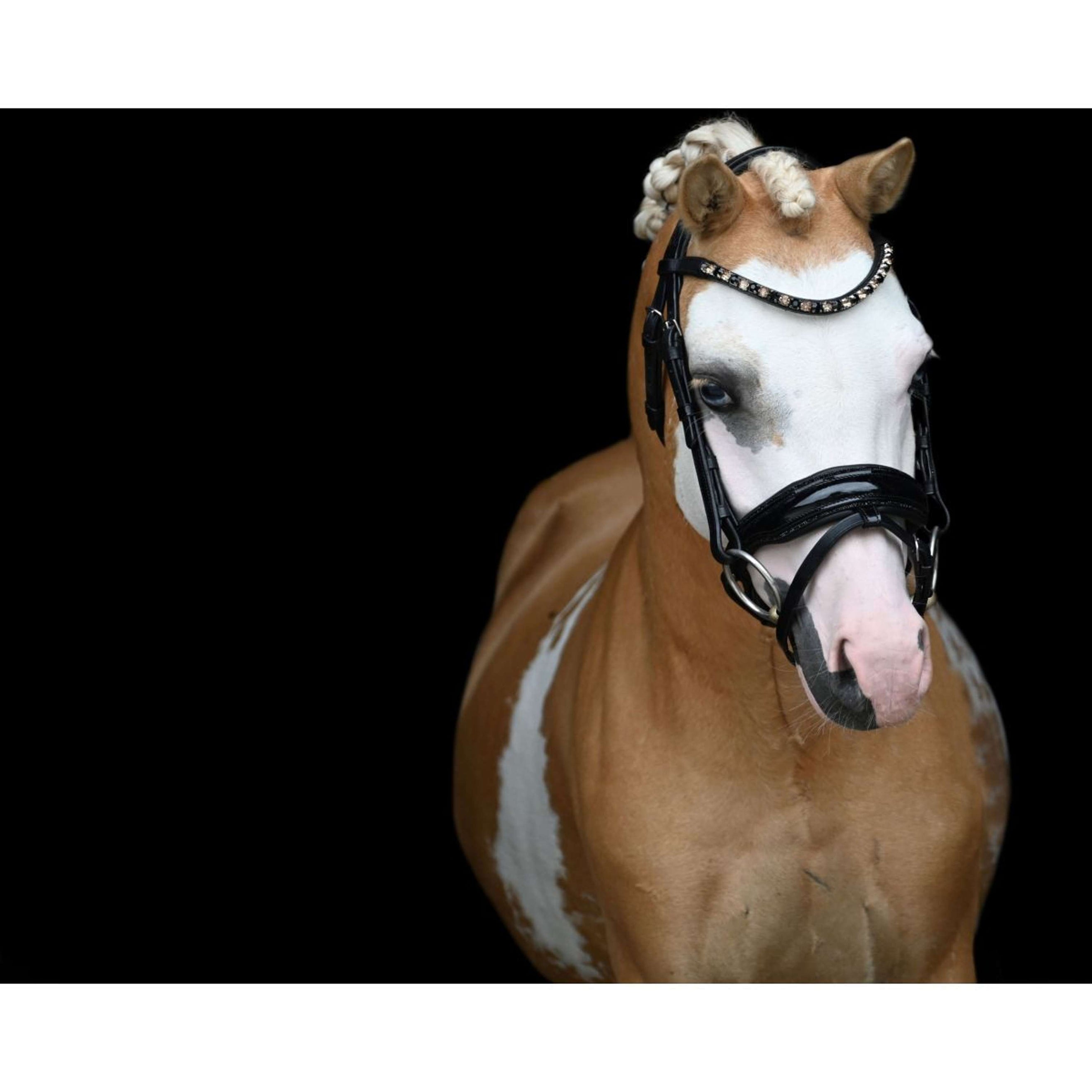 HB Showtime Zaum Special Schwarz/Gold HB Showtime Zaum Special Schwarz/Gold