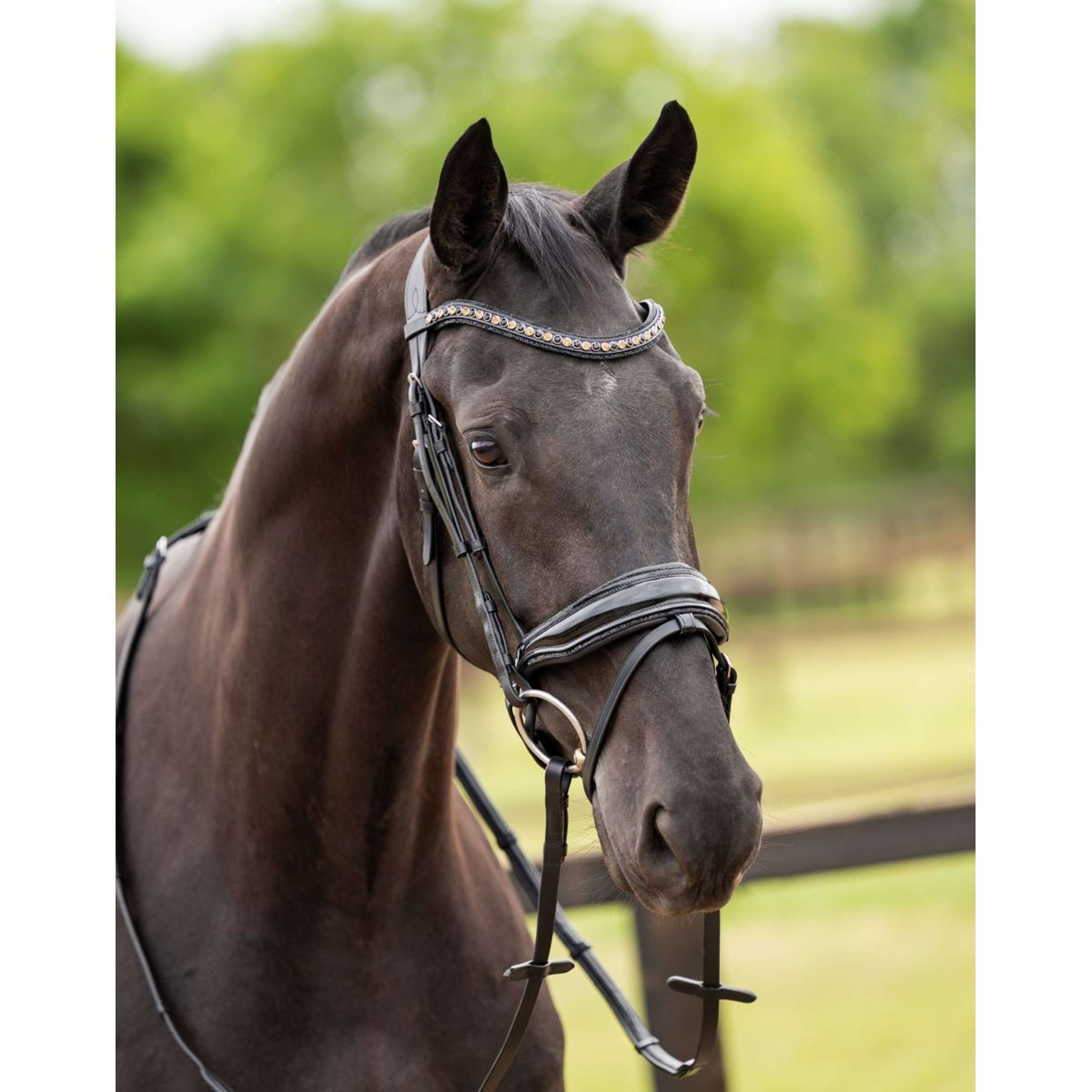 HB Showtime Zaum Las Vegas Schwarz/Schwarz Funkeln HB Showtime Zaum Las Vegas Schwarz/Schwarz Funkeln