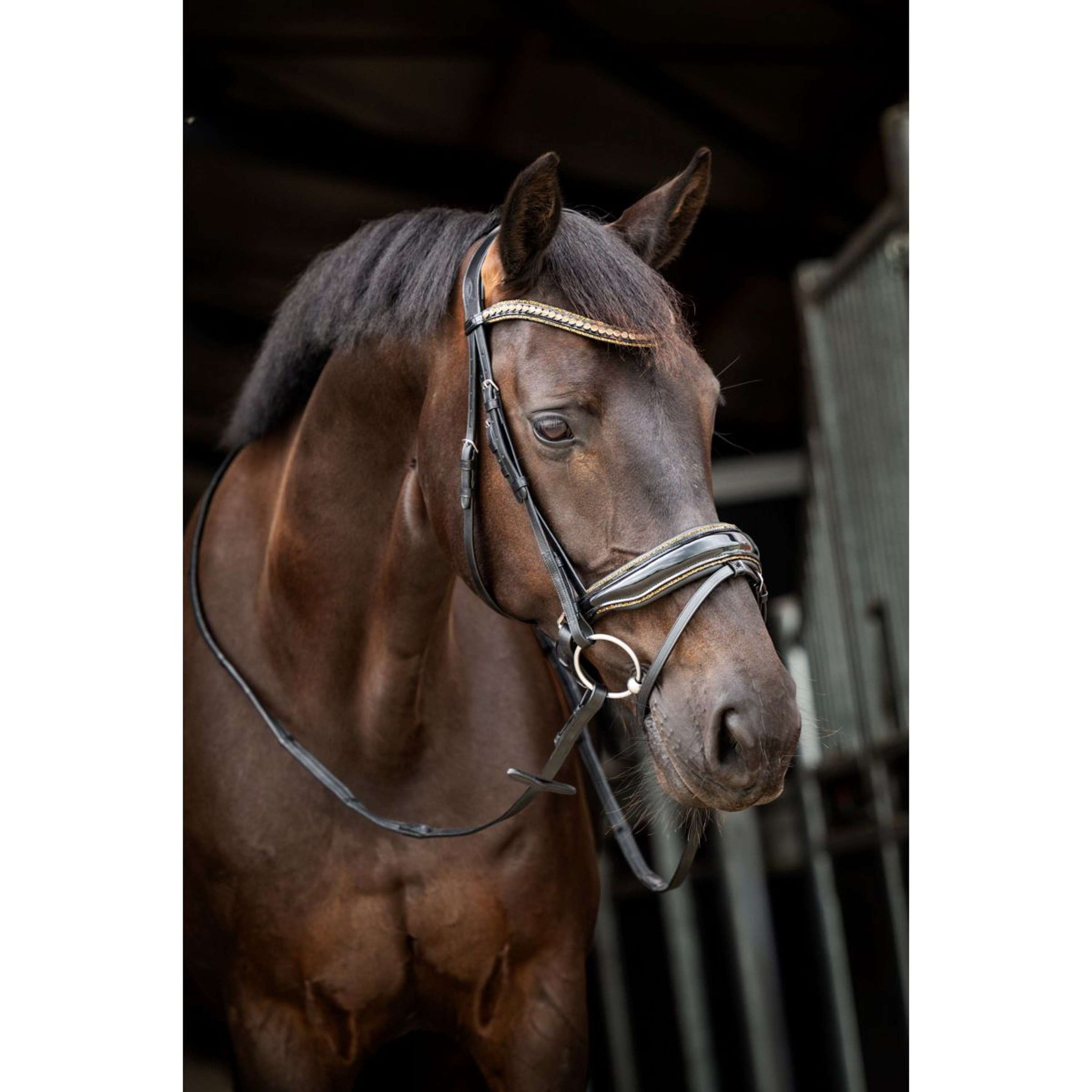 HB Showtime Zaum Golden Dreams Schwarz/Gold Funkeln HB Showtime Zaum Golden Dreams Schwarz/Gold Funkeln