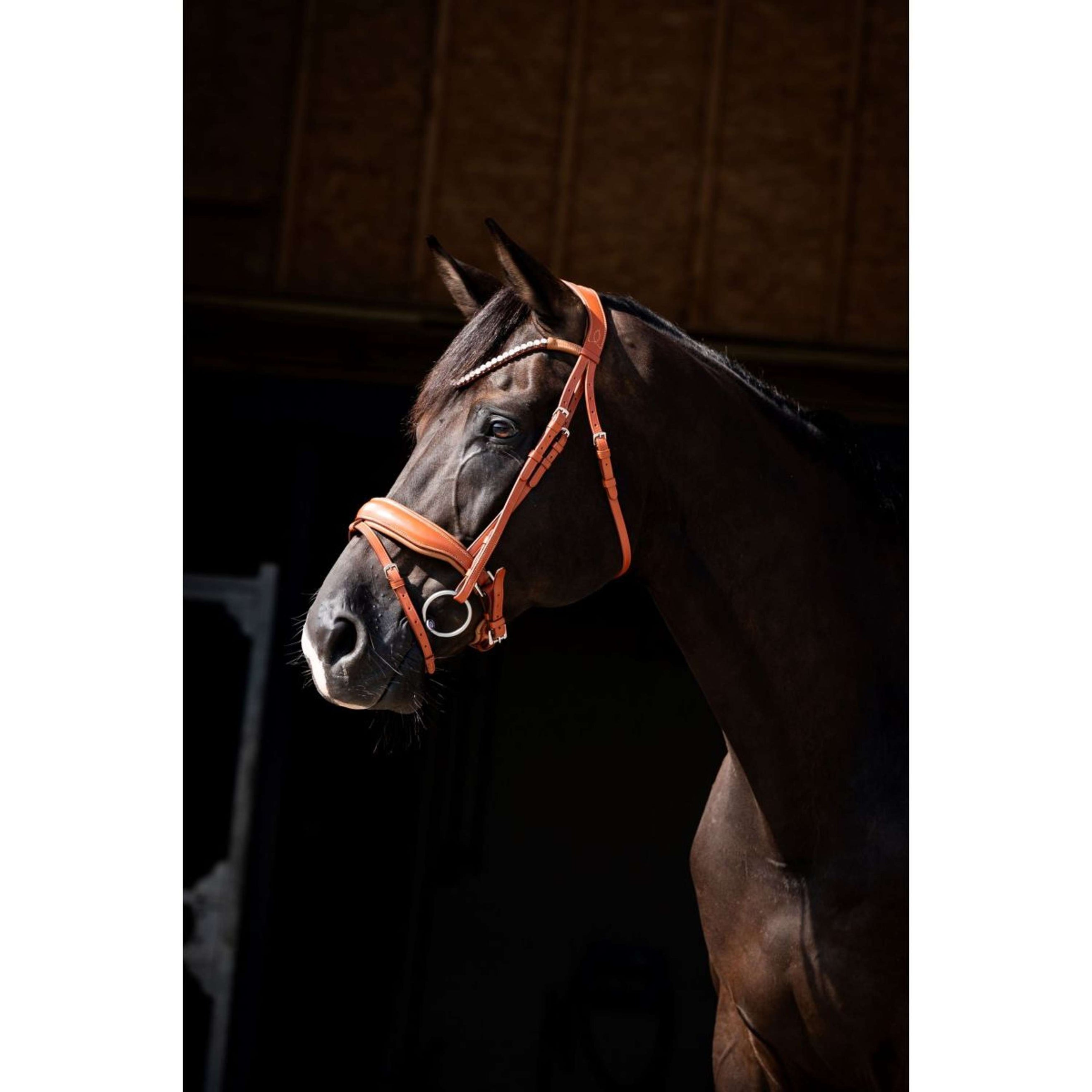 HB Showtime Zaum Chesnuth Cognac HB Showtime Zaum Chesnuth Cognac