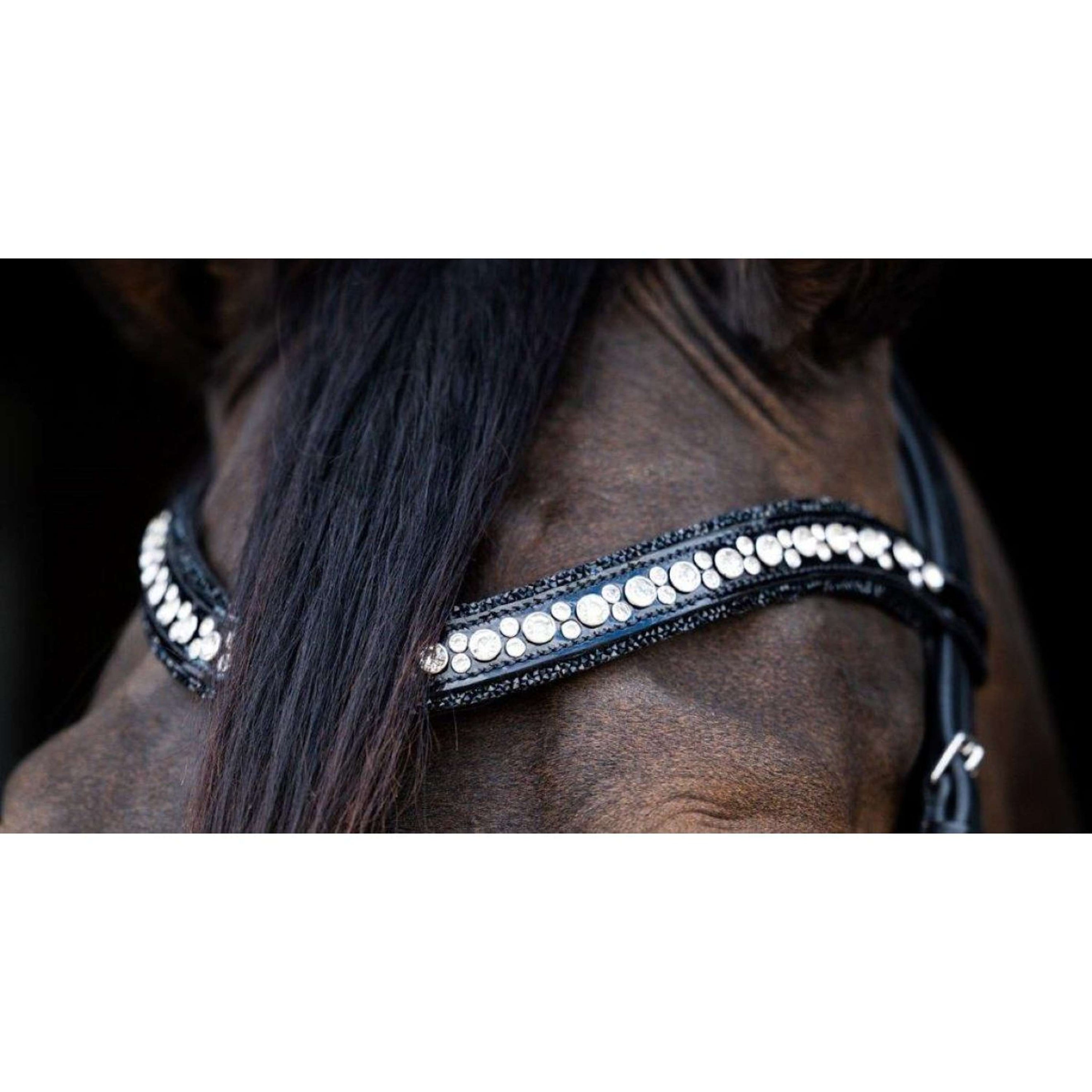 HB Ruitersport Stirnriemen Showtime To Nice Schwarz HB Ruitersport Stirnriemen Showtime To Nice Schwarz