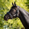 HB Ruitersport Halfter Showtime Grand Slam Schwarz/Silber