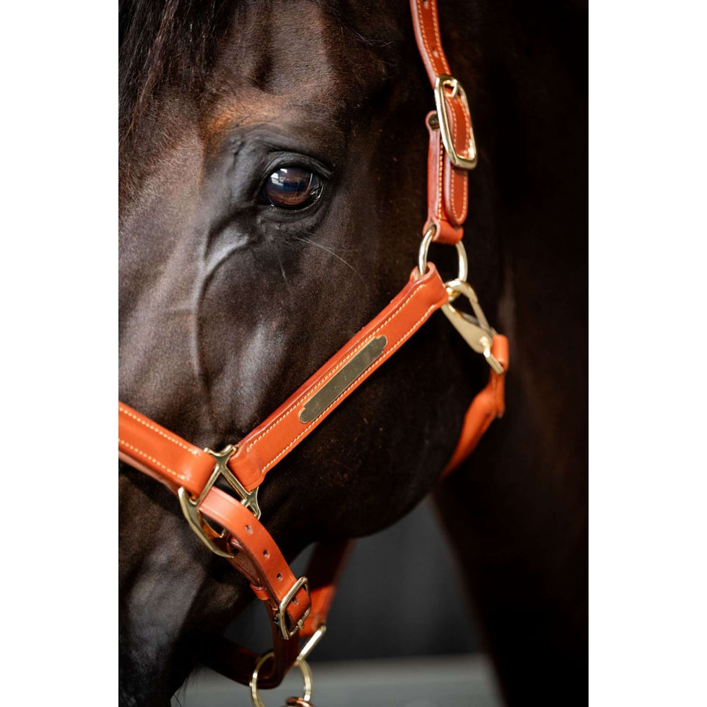 HB Showtime Halfter Name Cognac