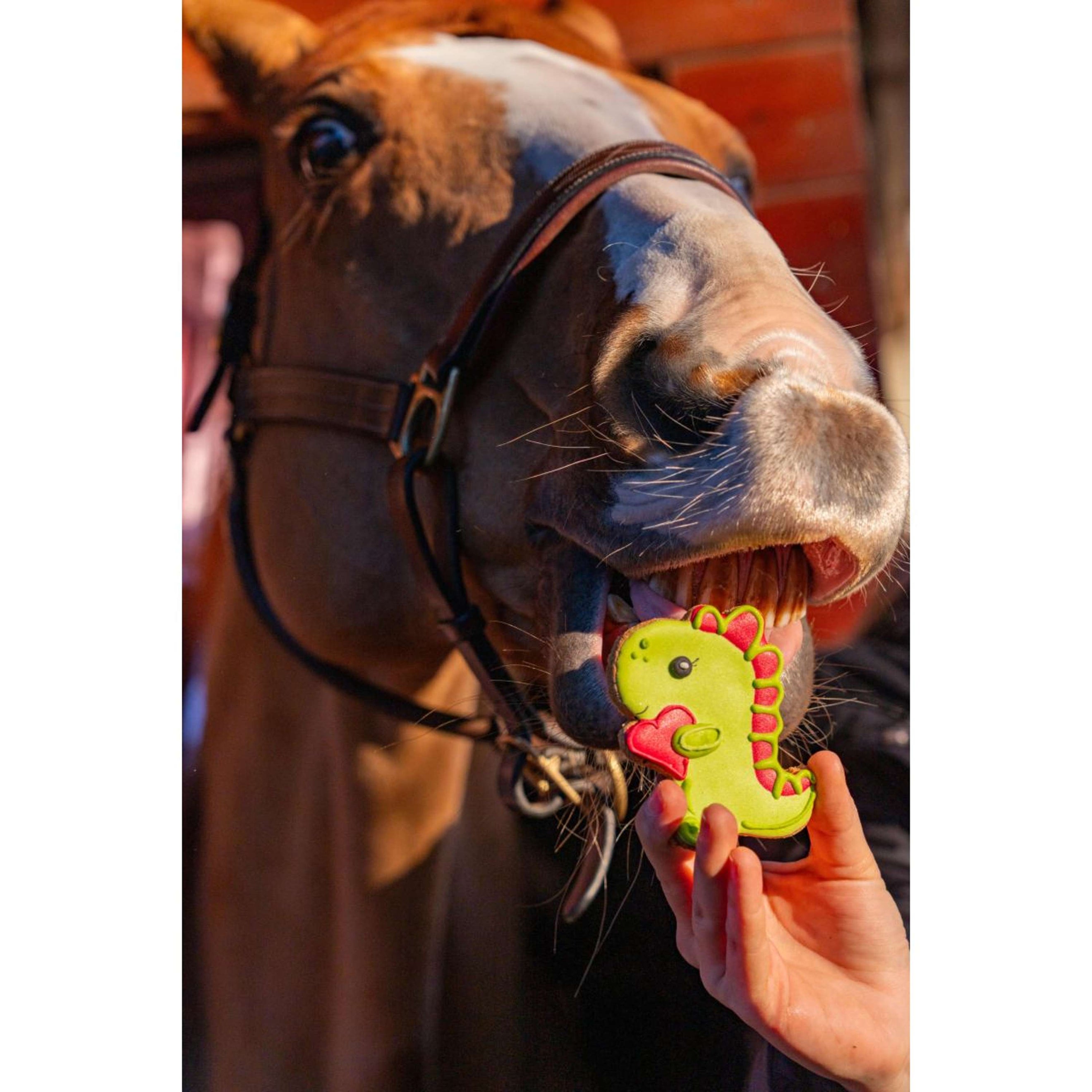 Candy Horse Love Cookie Dino Candy Horse Love Cookie Dino