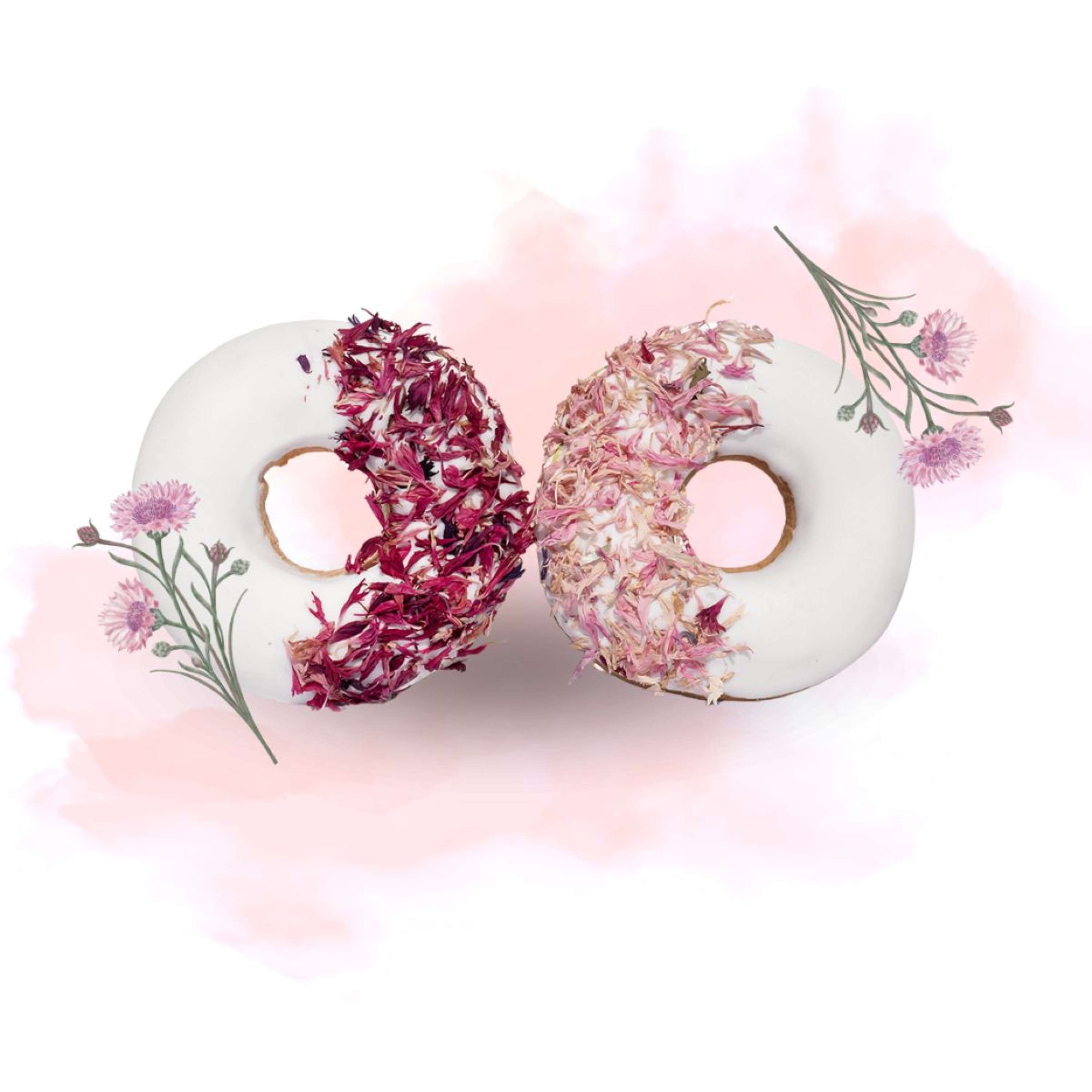 Candy Horse Donut Pink Cornflower